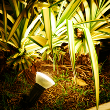 Solar Spotlights